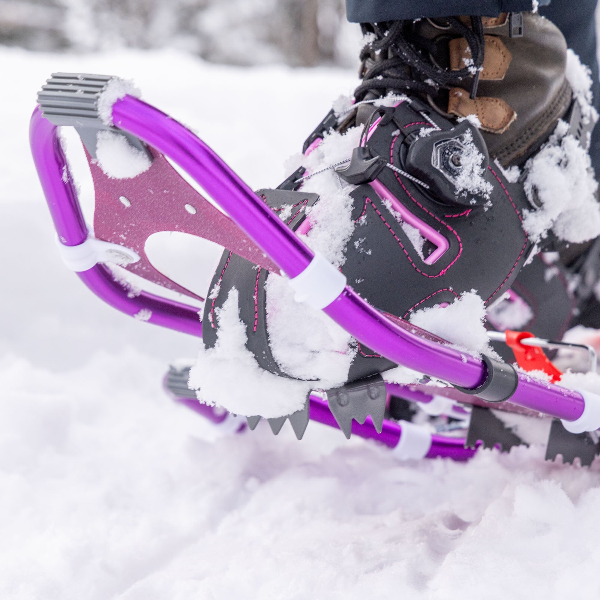 Lolo Pass Series Women's Snowshoe Kit - Dewberry