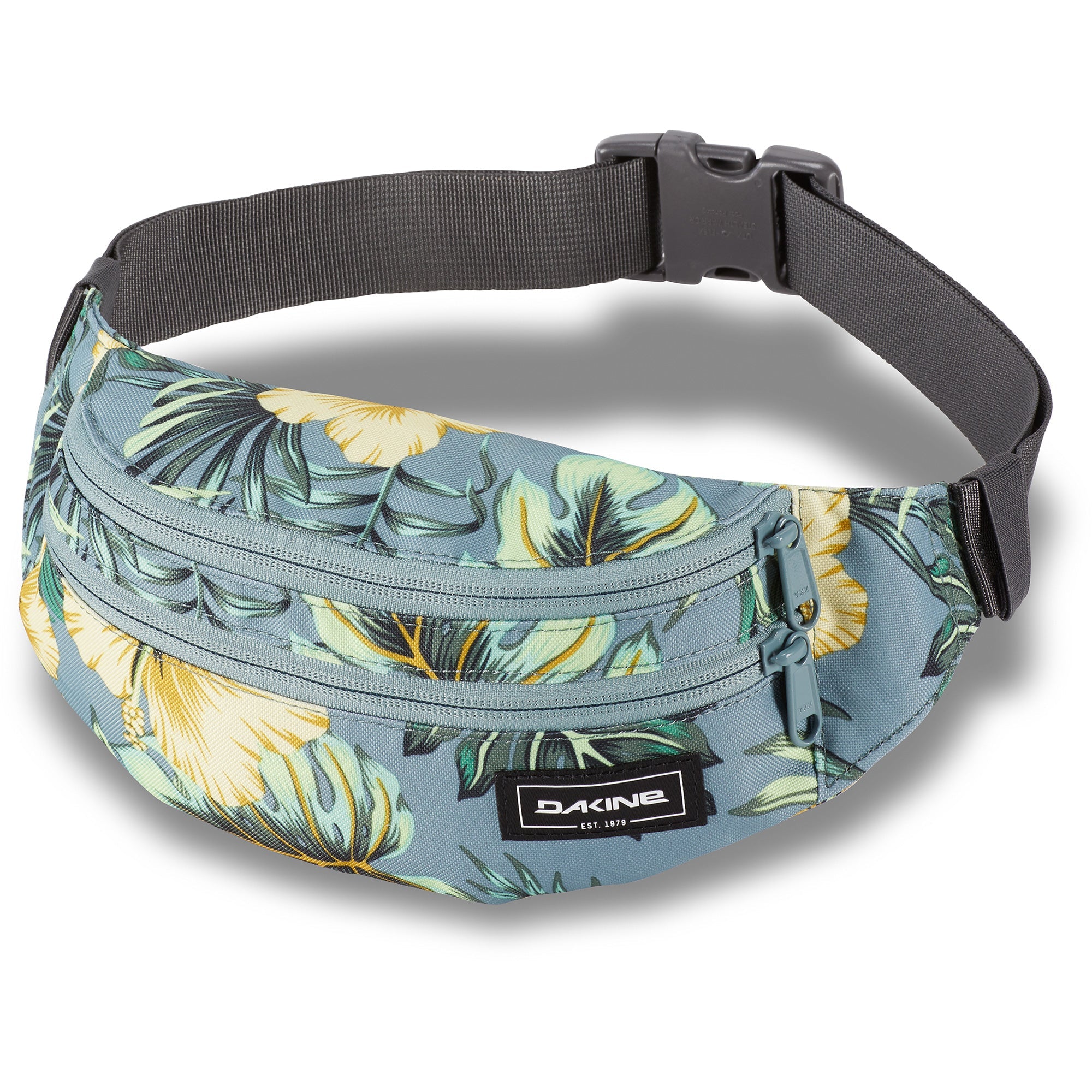 Classic Hip Pack
