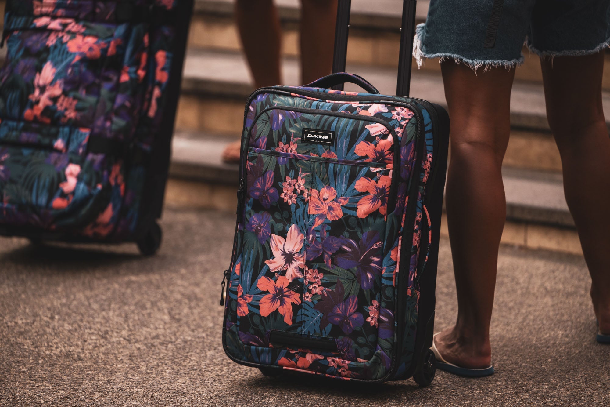 Status Roller Bag +42L - Carbon